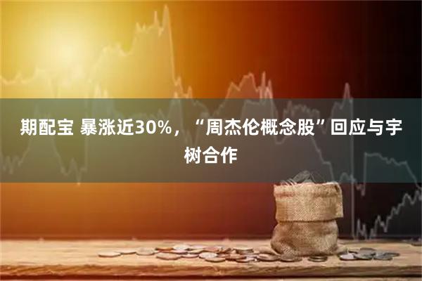 期配宝 暴涨近30%，“周杰伦概念股”回应与宇树合作