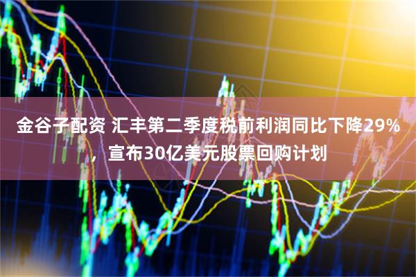 金谷子配资 汇丰第二季度税前利润同比下降29%，宣布30亿美元股票回购计划