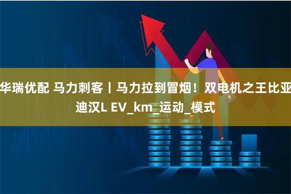 华瑞优配 马力刺客丨马力拉到冒烟！双电机之王比亚迪汉L EV_km_运动_模式