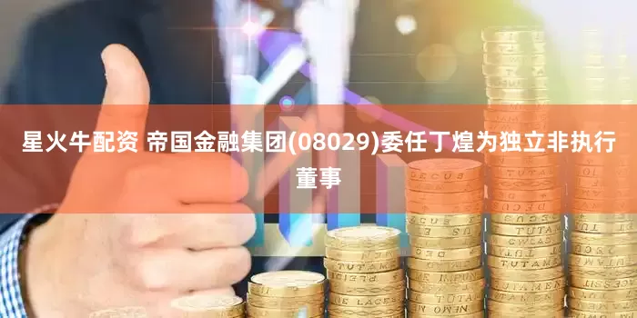 星火牛配资 帝国金融集团(08029)委任丁煌为独立非执行董事