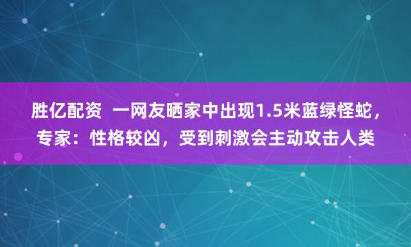 胜亿配资  一网友晒家中出现1.5米蓝绿怪蛇，专家：性格较凶，受到刺激会主动攻击人类