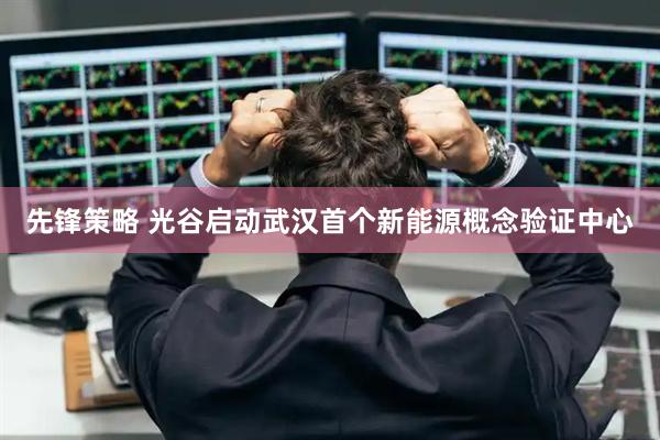先锋策略 光谷启动武汉首个新能源概念验证中心